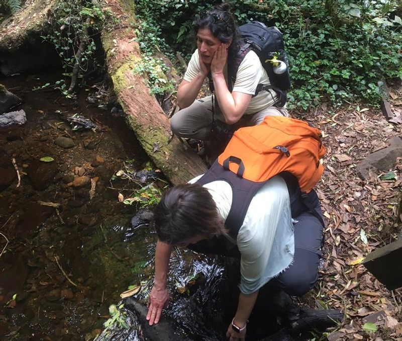 Moshi Private Tour - Our customers enjoying natural spring water from Kilimanjaro 