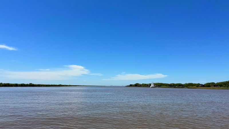 Buenos Aires Private Tour - Delta