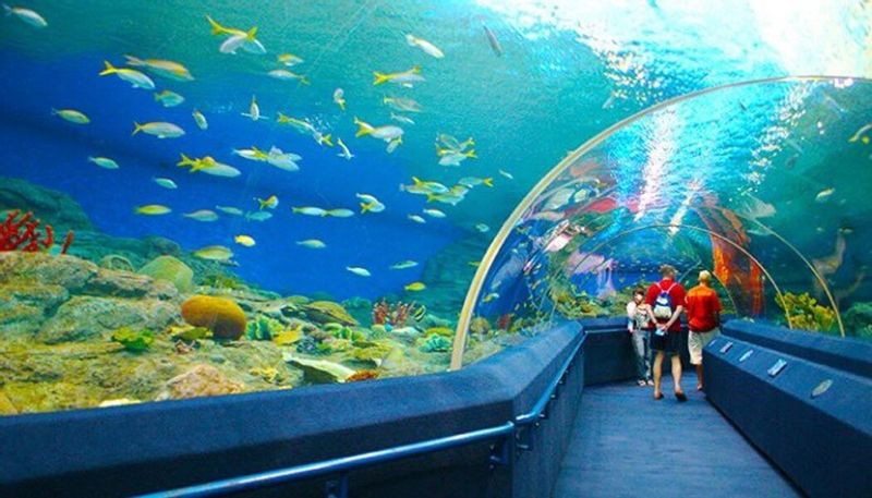 Nha Trang Private Tour - Oceanographic Institute