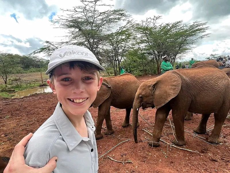 Nairobi Private Tour - Sheldrick Animal orphanage.