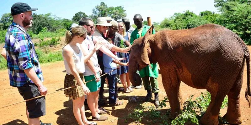 Nairobi Private Tour - 