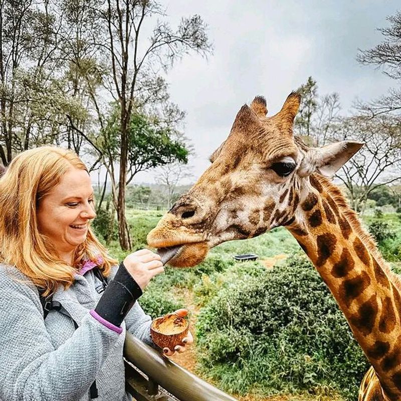 Nairobi Private Tour - Haller park.