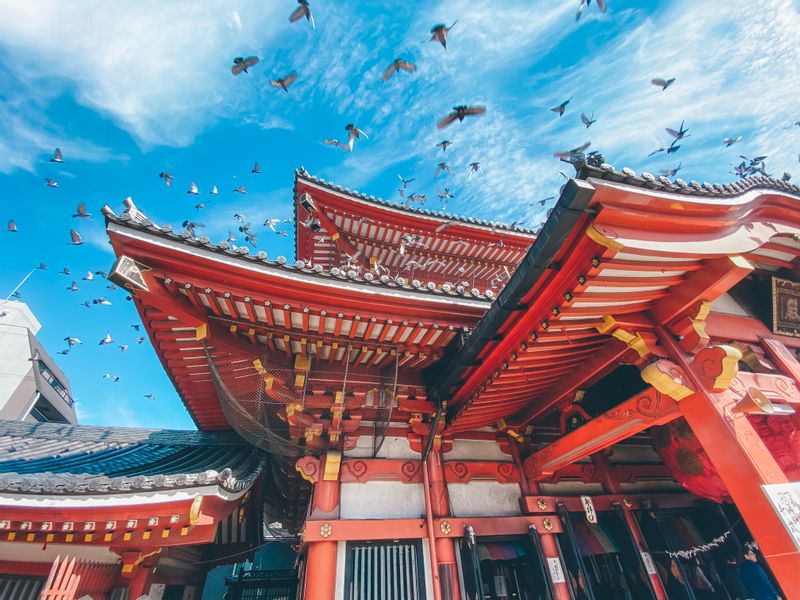 Aichi Private Tour - Osu Kannon Temple