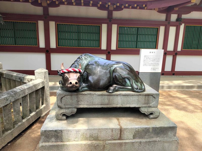 Fukuoka Private Tour - The Gosingyū Cow at Dazaifu