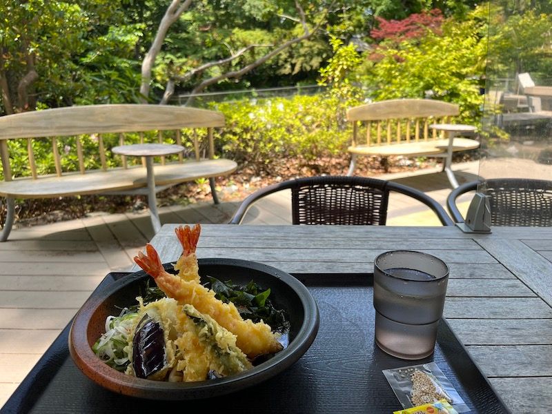 Aichi Private Tour - Nagoya's Kishimen noodle (@Atsuta Shrine)