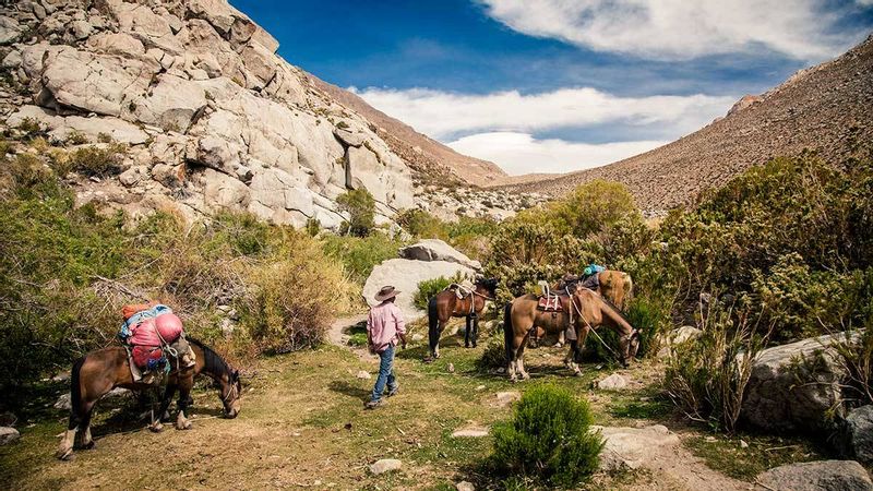 Santiago Private Tour - Our horses resting from a hourseback ridding day