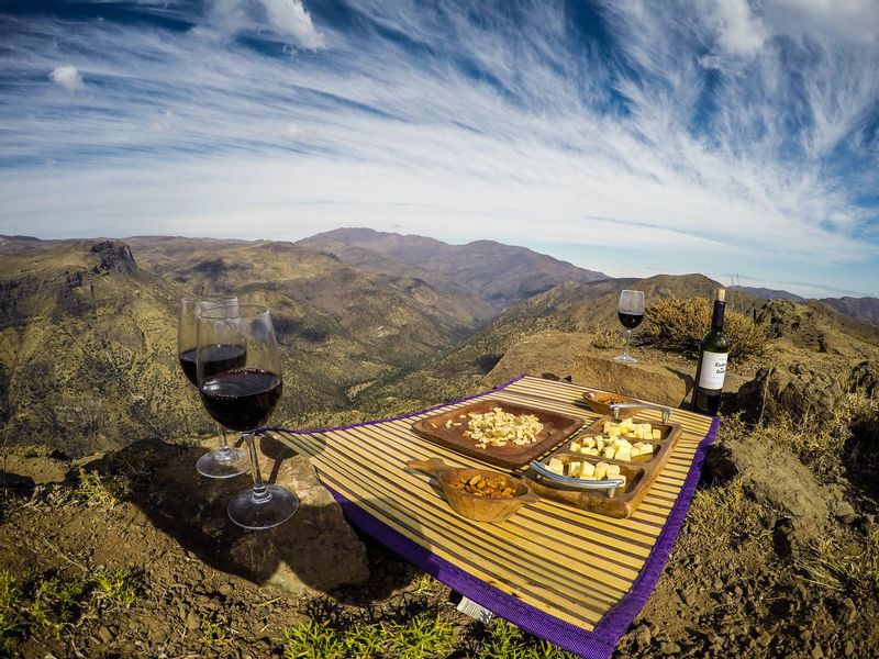 Santiago Private Tour - Our cheese and wine picnic in the Andes