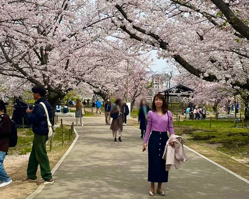 Fukuoka Private Tour - Maizuru Park, Fukuoka City