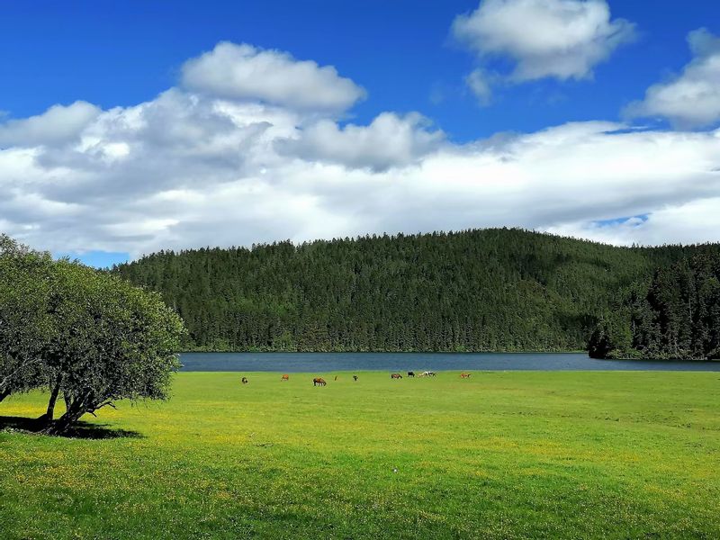 Lijiang Private Tour - Shudu lake