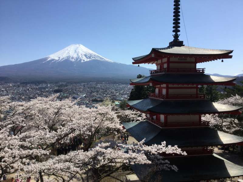 Kanagawa Private Tour - Lake Kawaguchi tour; View of Mt. Fuji and a Pagoda at Arakurayama park
