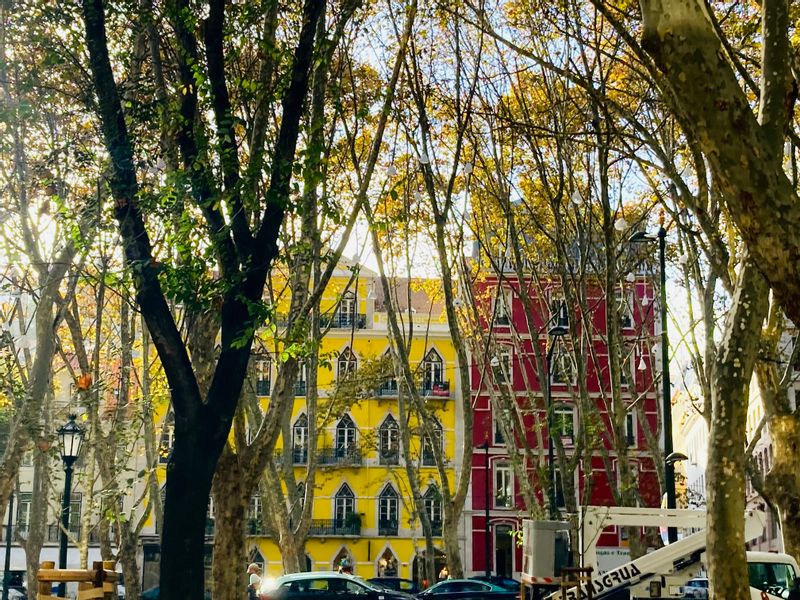 Lisbon Private Tour - Avenida Libertade - colours of Lisbon