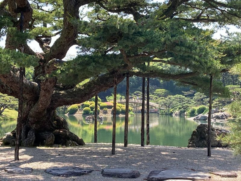 Kagawa Private Tour - Ritsurin Garden