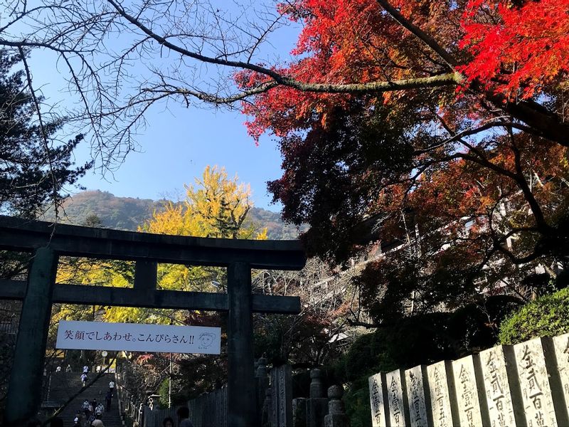 Kagawa Private Tour - Kotohiragu Shrine