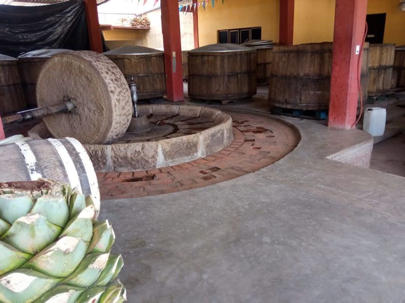 Mexico City Private Tour - Elaborating Mezcal, in the city of Oaxaca