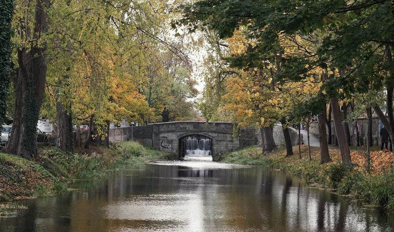 Dublin Private Tour - The Grand Canal.