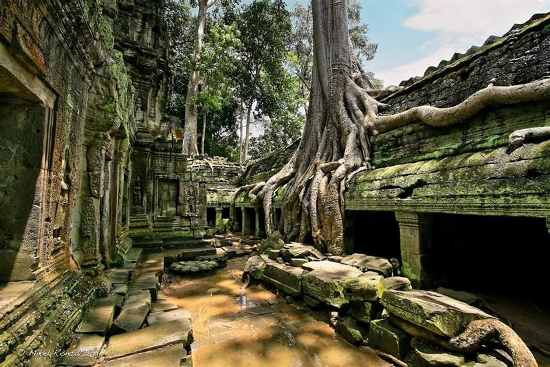 Siem Reap Private Tour - Ta Prohm temple