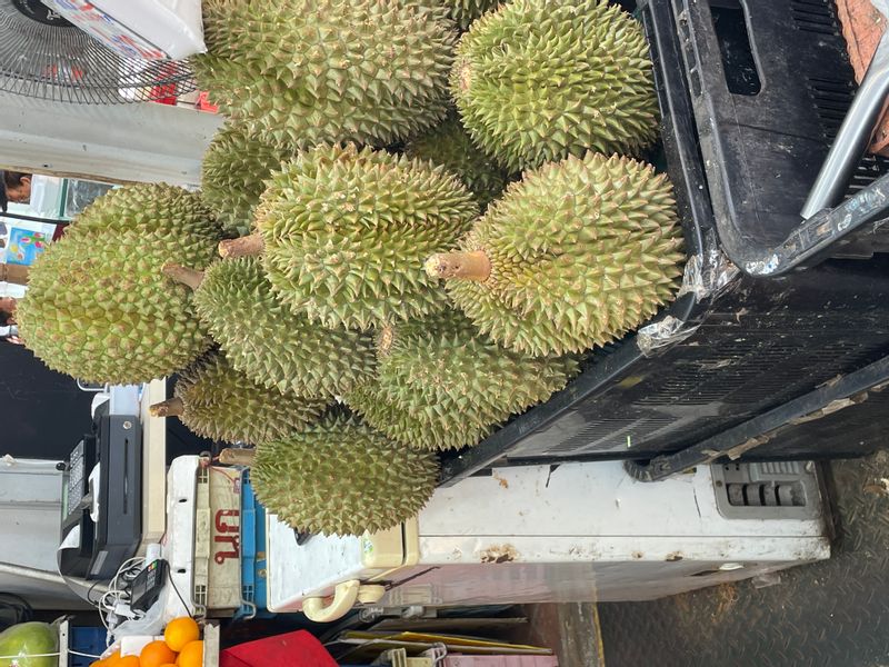 Singapore Private Tour - King of fruits - durian