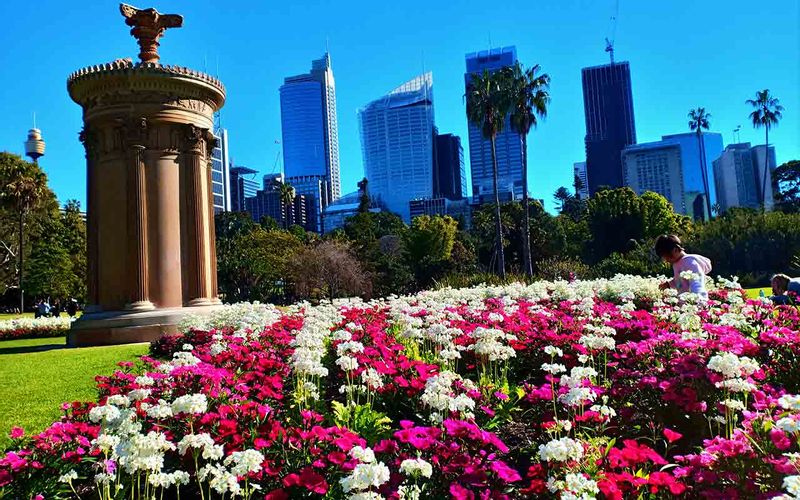 Sydney Private Tour - Botanical Gardens