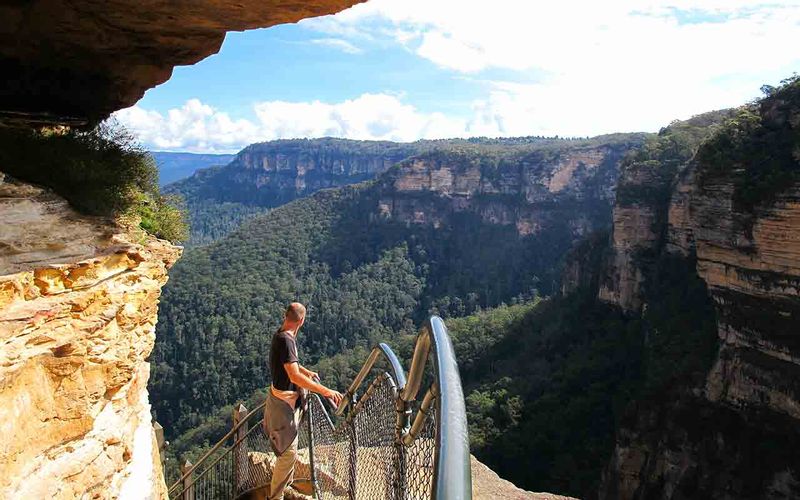 Sydney Private Tour - Blue Mountains viata