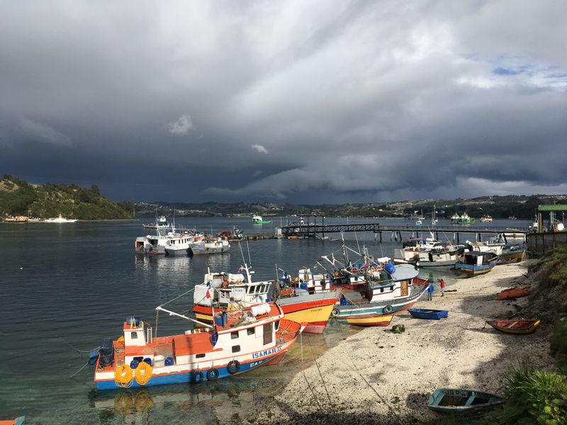 Puerto Montt Private Tour - 