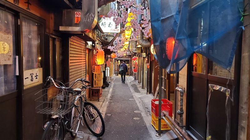 Tokyo Private Tour - 