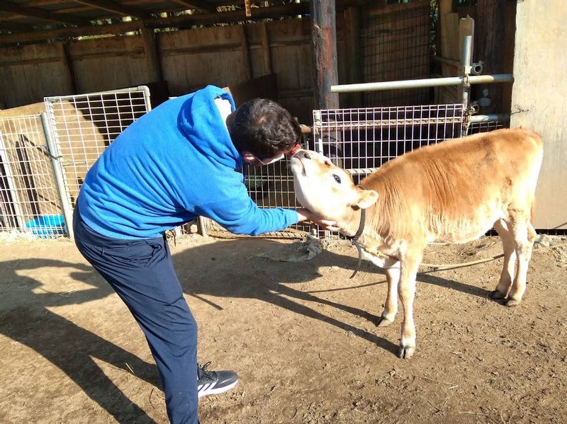 Tokyo Private Tour - Ibaraki Farm