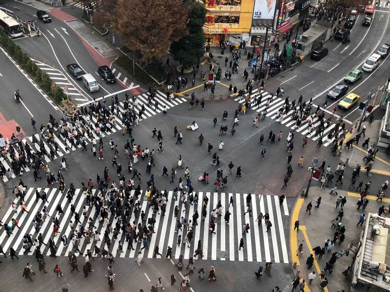 Tokyo Private Tour - Shibuya Crossing