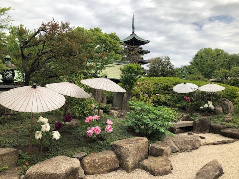 Tokyo Private Tour - Peony Garden, Ueno Park