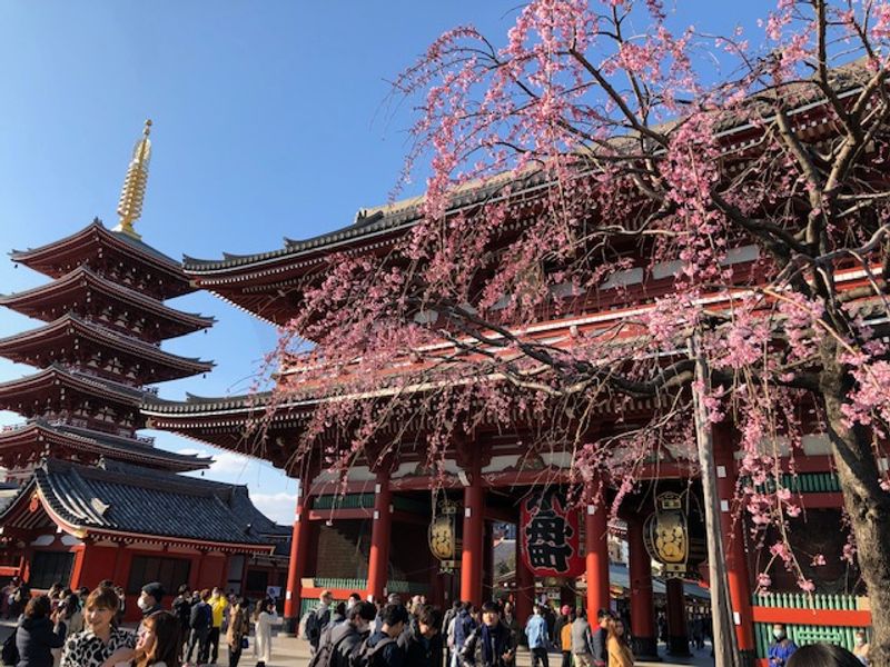 Tokyo Private Tour - Sensoji Temple