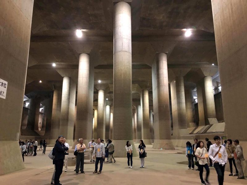 Tokyo Private Tour - Underground Water Storage