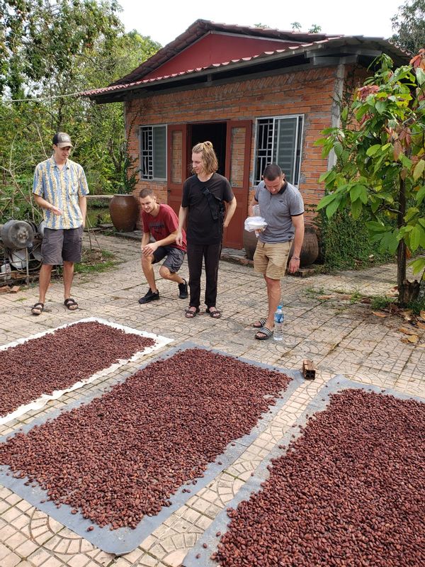 Can Tho Private Tour - Drying cacao seeds