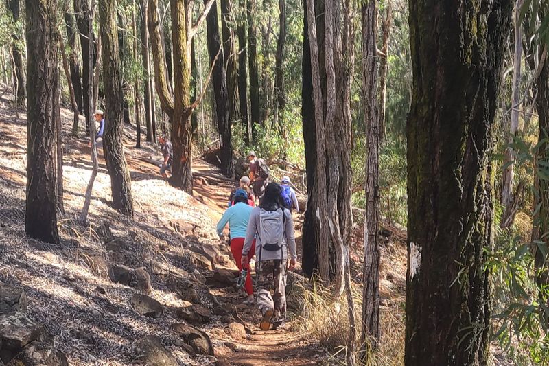 Hawaii (Oahu) Private Tour - Hiking at Camp Palehua.