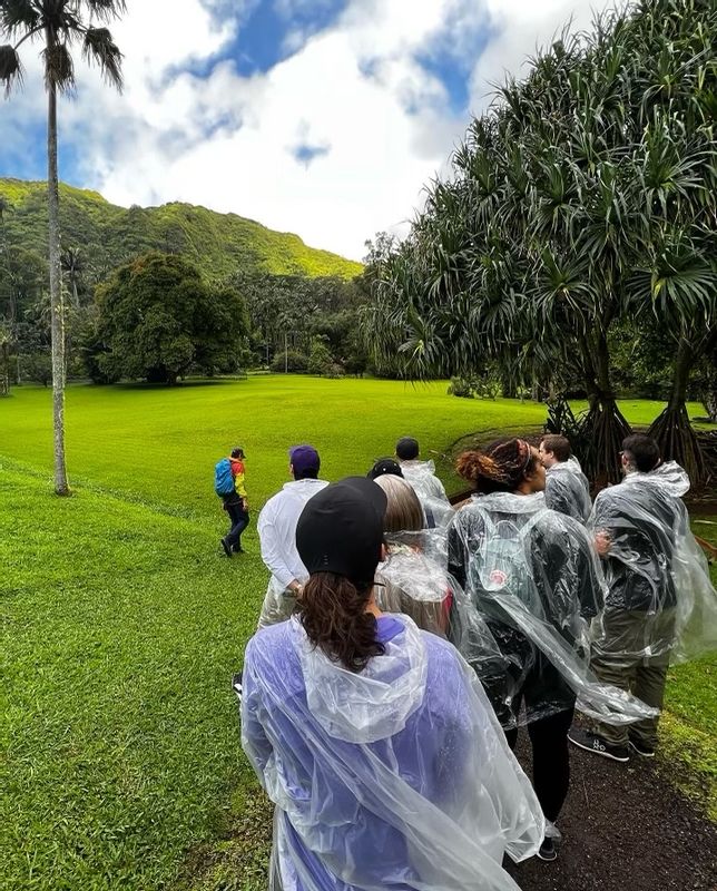 Hawaii (Oahu) Private Tour - Guiding a group on a rainy day.