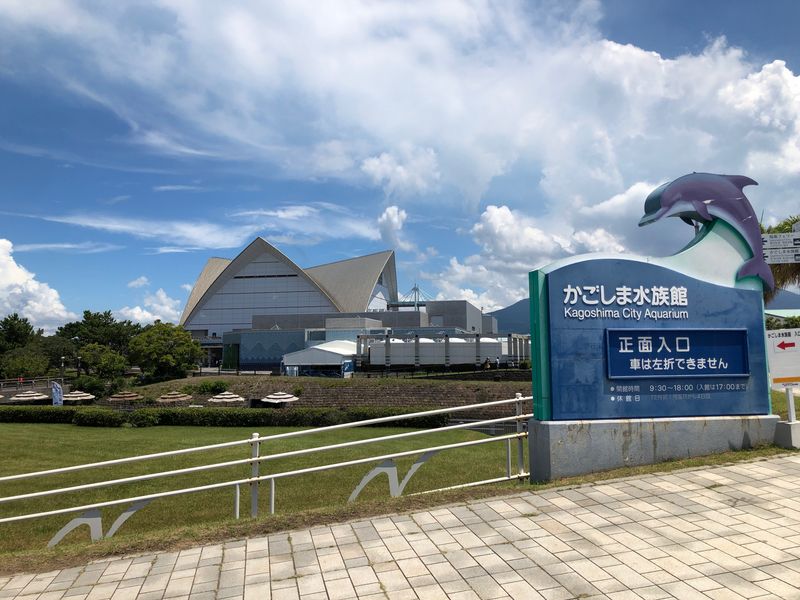 Kagoshima Private Tour - Kagoshima City Aquarium  Nickname is Iwo World.