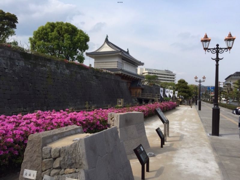 Kagoshima Private Tour - Tsurumaru castle wall