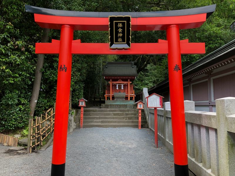 Kagoshima Private Tour - Terukuni Shrine Terukuni Inari Shrine.