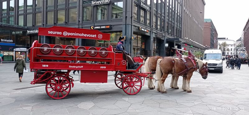 Helsinki Private Tour - Horse carriage advertising brewery 