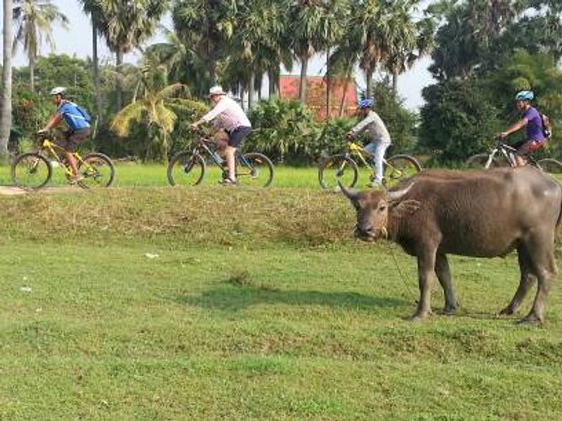 Siem Reap Private Tour - Countryside tour 