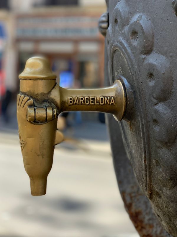 Barcelona Private Tour - Fuente de Las Canaletas