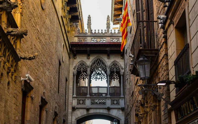 Barcelona Private Tour - Gothic Quarterw