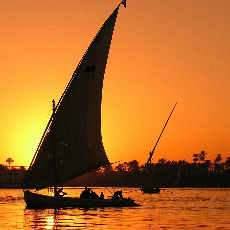 Cairo Private Tour - You will find our clients everywhere Cairo, Giza, Luxor, Aswan, Fayoum, the white desert, the black desert, Siwa, all over Egypt