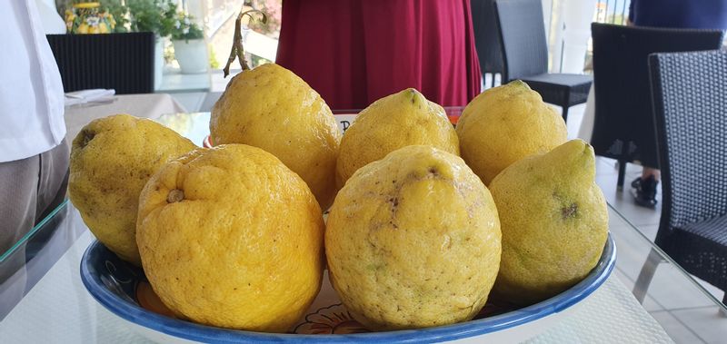 Amalfi Coast Private Tour - Our lemons