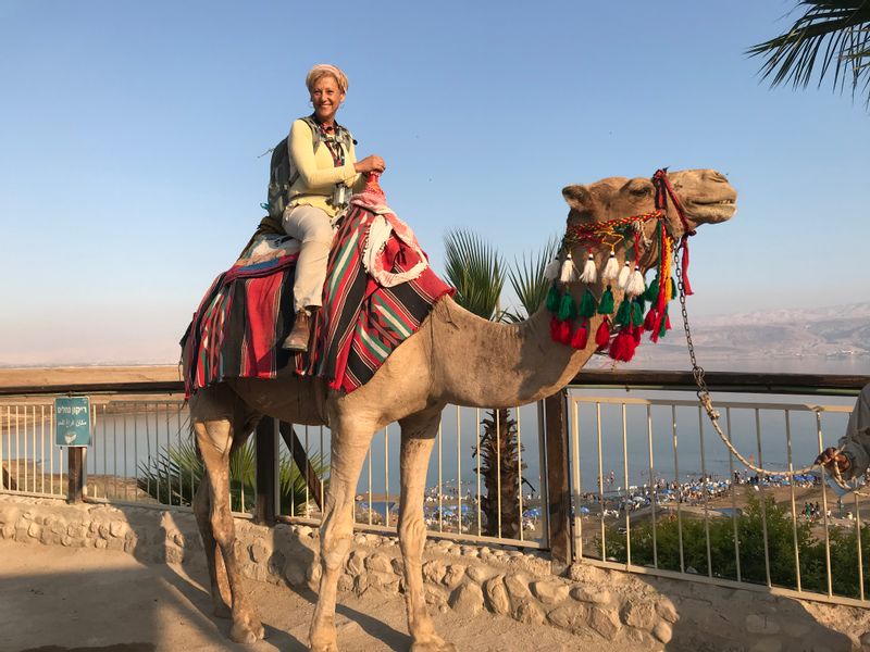 HaDarom Private Tour - Camel riding at the Dead Sea