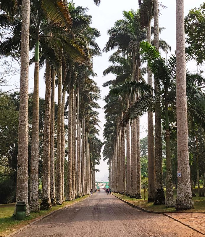 Accra Private Tour - Aburi Botanical, Eastern Region