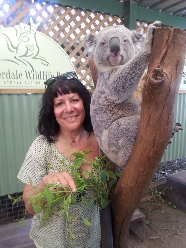 New South Wales Private Tour - Cuddling a koala