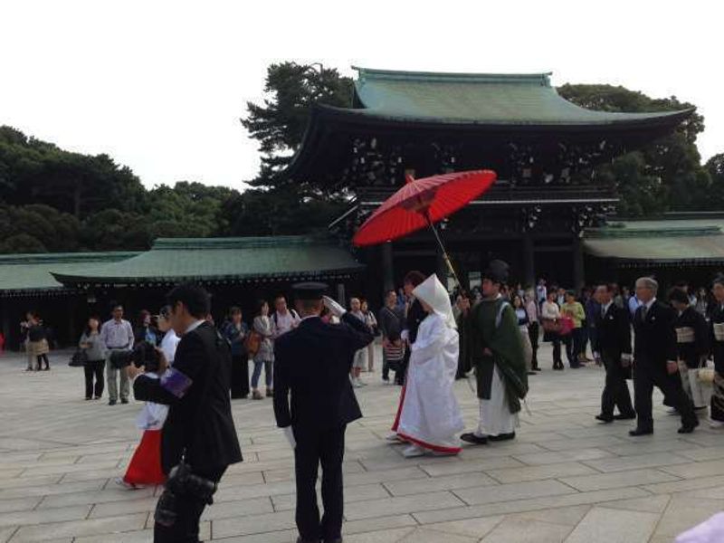 Kanagawa Private Tour - A Shinto wedding procession in Meiji shrine.