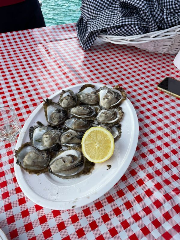 Dubrovnik Private Tour - Ostrea Edulis oysters