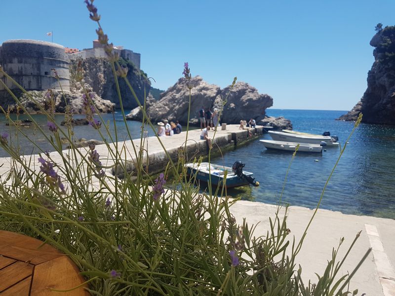 Dubrovnik Private Tour - In Pile port