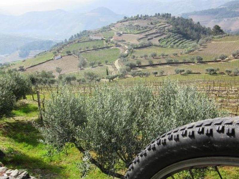 Porto Private Tour - e-Bike in Douro Valley