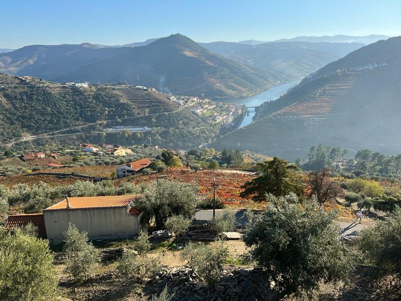 Porto Private Tour - Viewpoint over Pinhão - Douro Valley